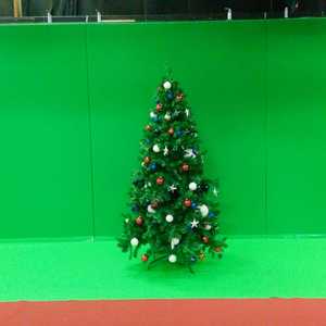 Image MNF Green Xmas tree in Green Screen area